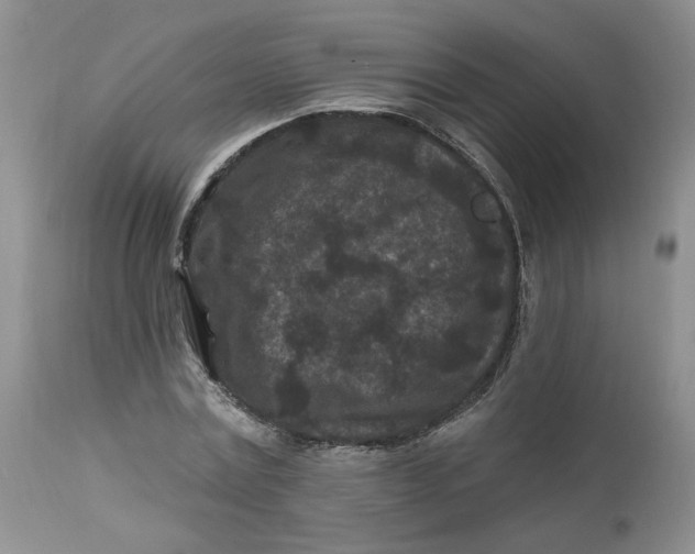 X0000112800779200909111235