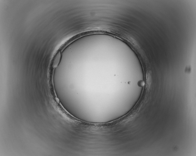 X0000112800780200909111235