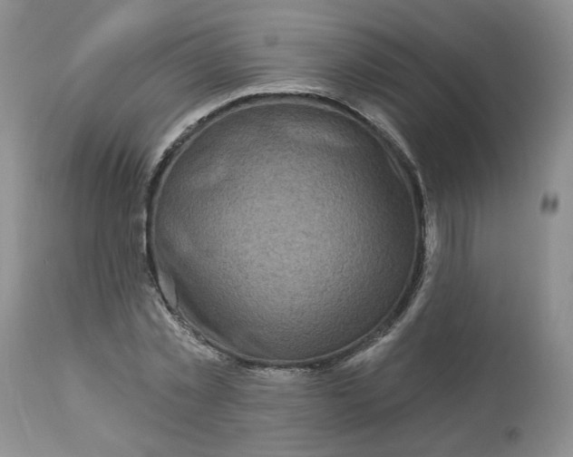 X0000112800781200909111235