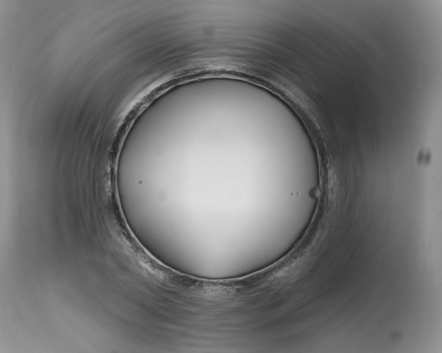 X0000112800782200909111235