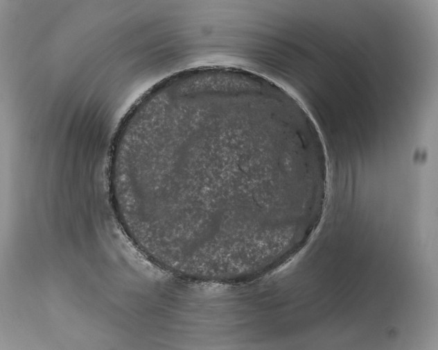 X0000112800783200909111235