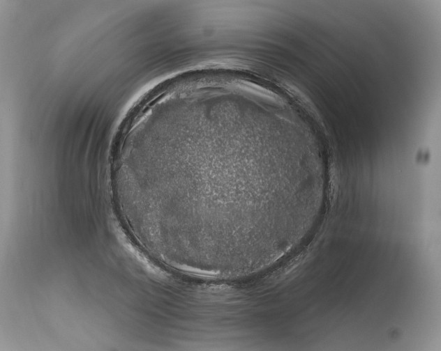 X0000112800784200909111235