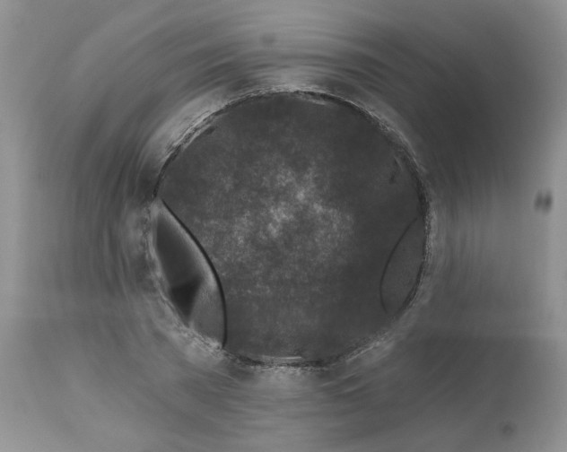 X0000112800785200909111235