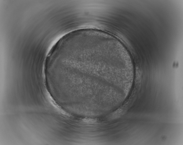 X0000112800788200909111235