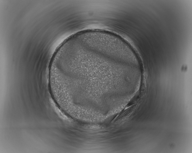 X0000112800791200909111235