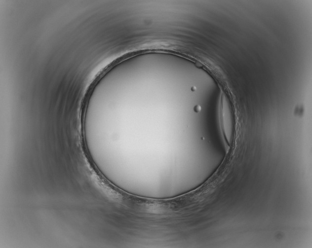 X0000112800792200909111235