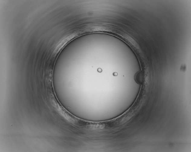 X0000112800793200909111234