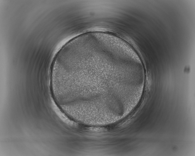 X0000112800795200909111234