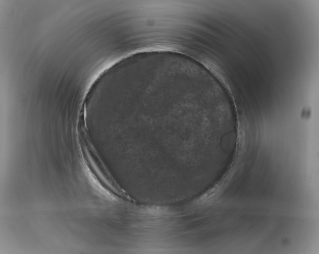 X0000112800797200909111234