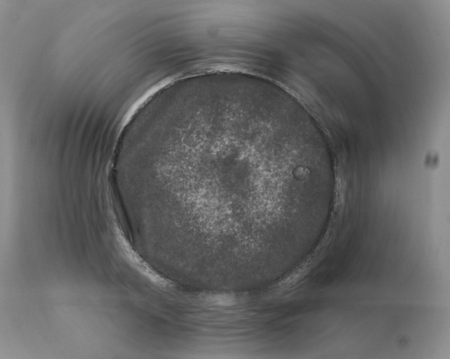 X0000112800798200909111234