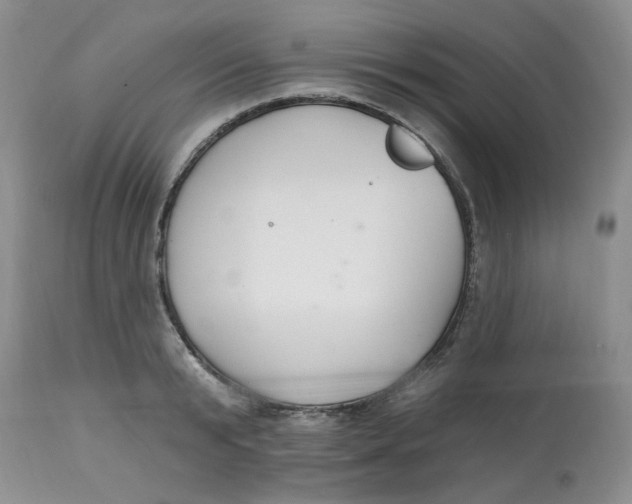 X0000112800799200909111234