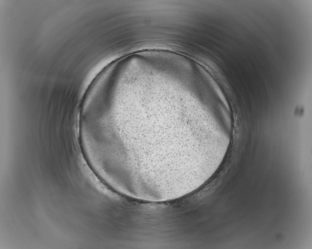 X0000112800804200909111234