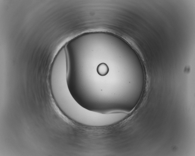 X0000112800805200909111234