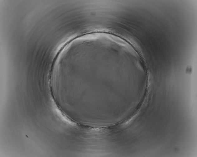 X0000112800806200909111234