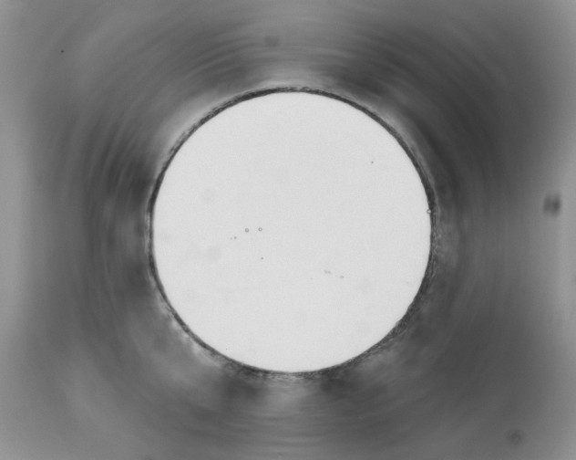 X0000112800807200909111234