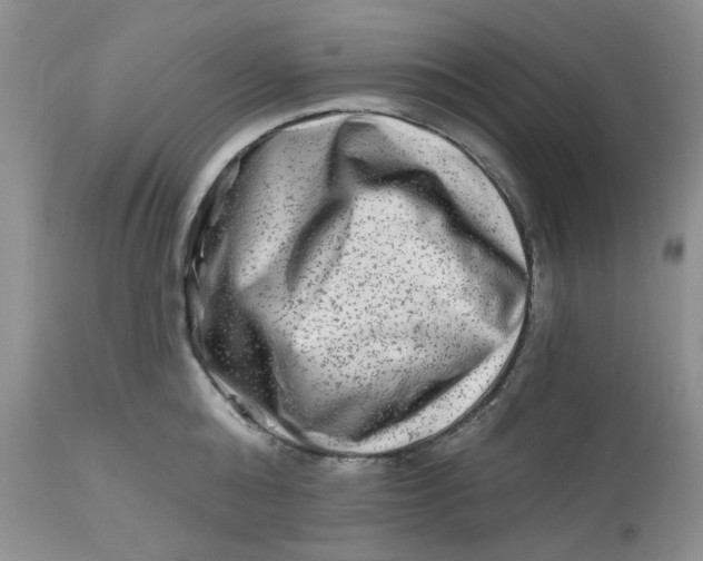 X0000112800808200909111234