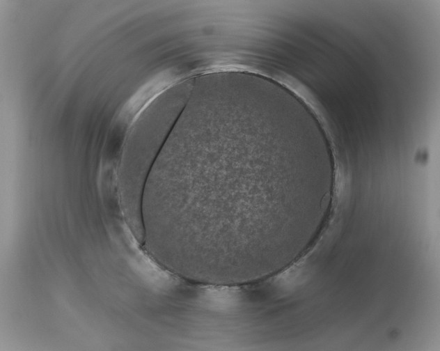 X0000112800809200909111234