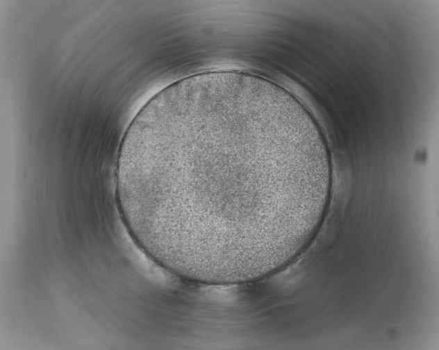 X0000112800810200909111234