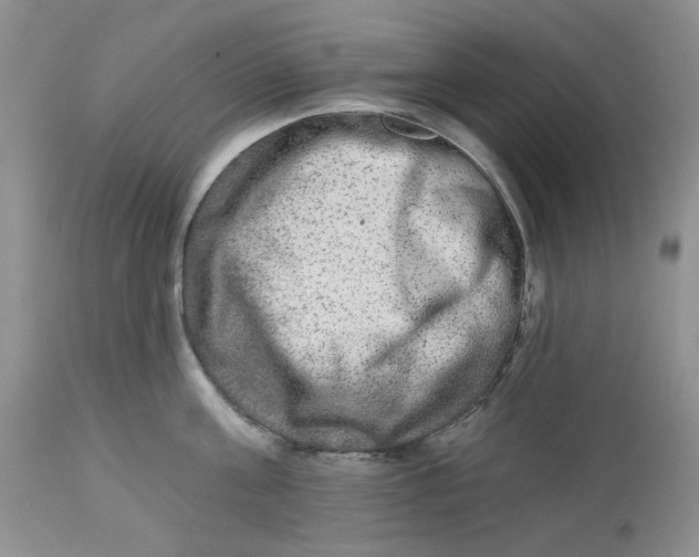 X0000112800811200909111234