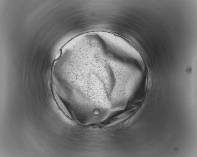 X0000112800812200909111234