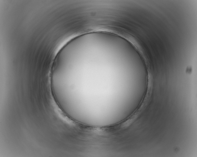 X0000112800814200909111234