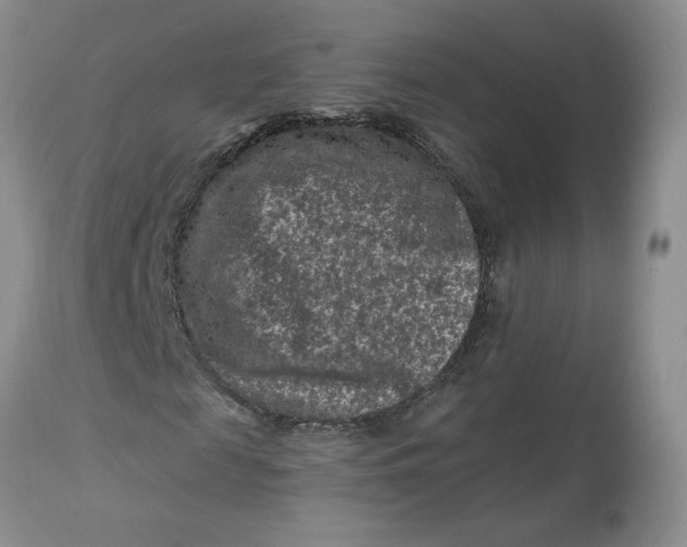 X0000112800817200909111233