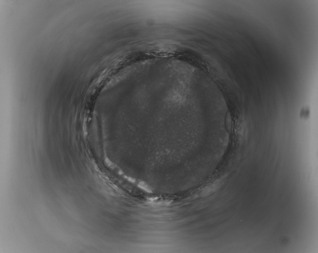 X0000112800818200909111233