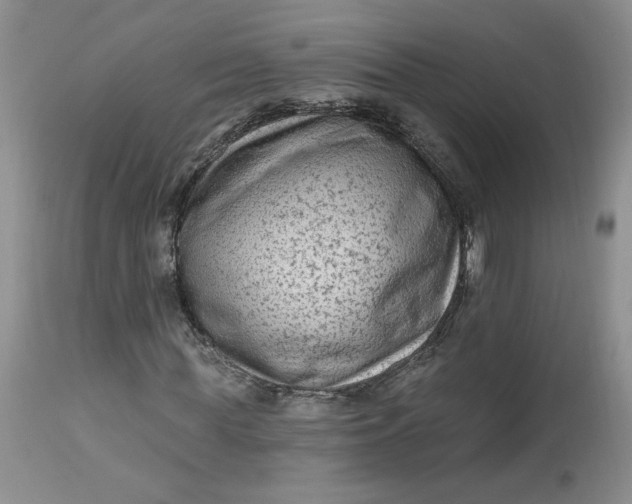 X0000112800819200909111233