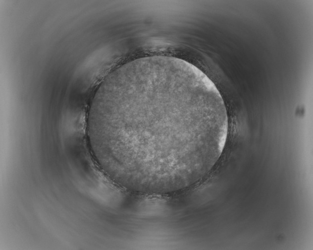 X0000112800820200909111233