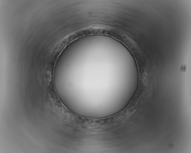 X0000112800821200909111233