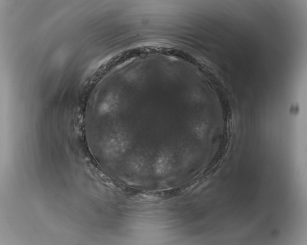 X0000112800822200909111233