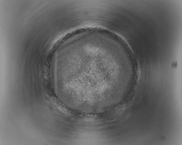 X0000112800823200909111233