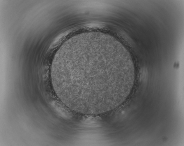 X0000112800824200909111233