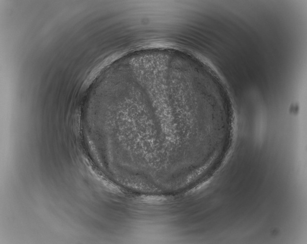 X0000112800825200909111233