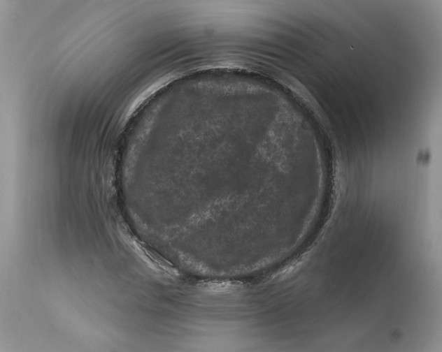 X0000112800826200909111233