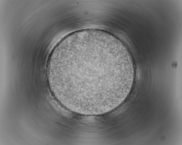 X0000112800828200909111233