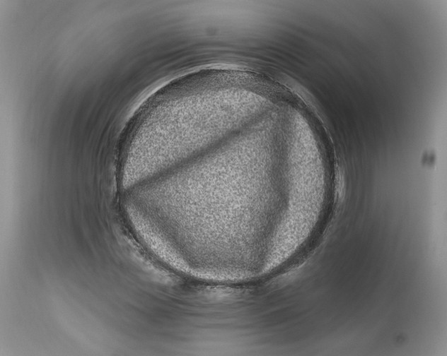 X0000112800829200909111233