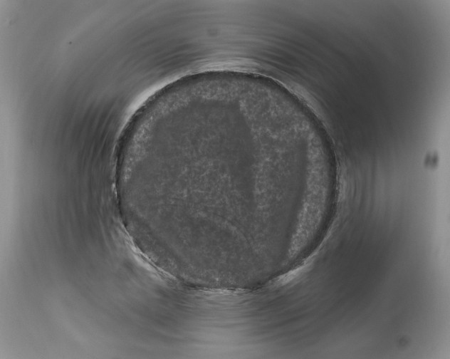 X0000112800830200909111233