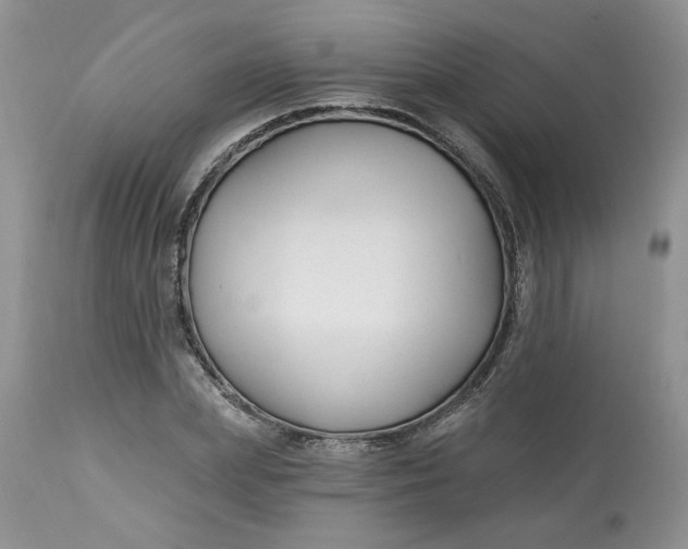 X0000112800831200909111233