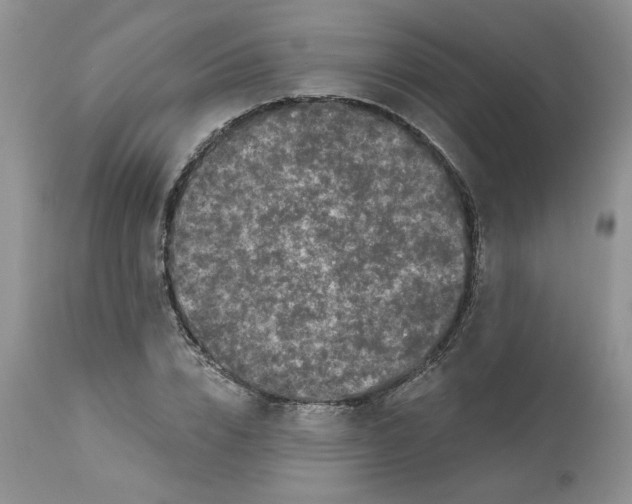 X0000112800832200909111233