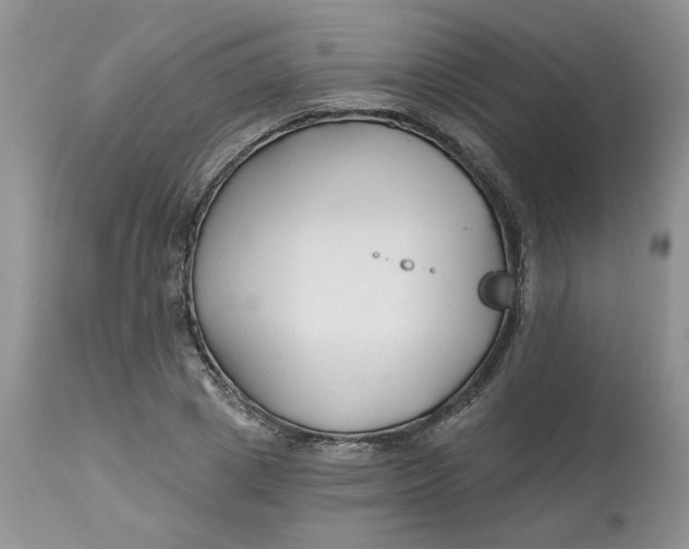 X0000112800833200909111233