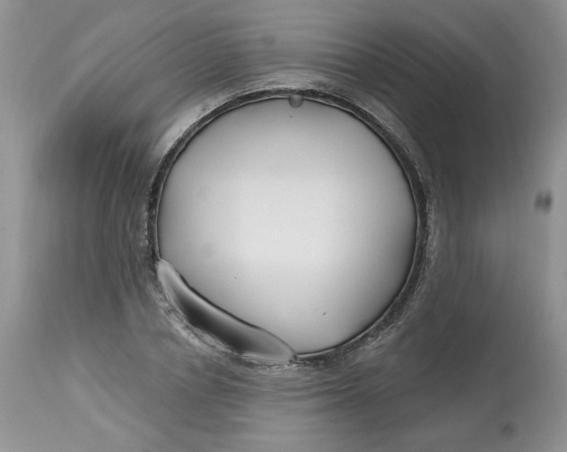 X0000112800834200909111233