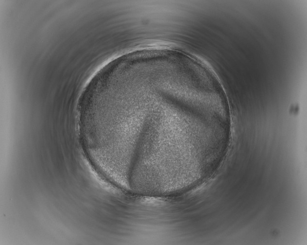 X0000112800835200909111233