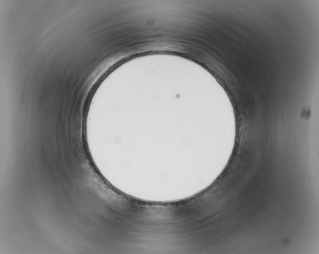 X0000112800836200909111233