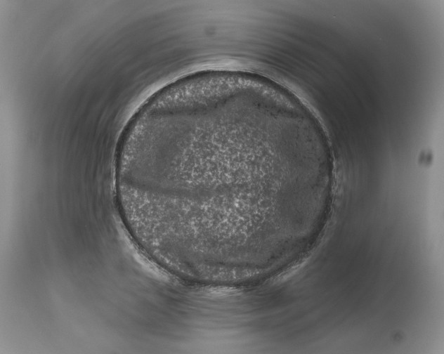 X0000112800837200909111233