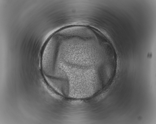 X0000112800838200909111233