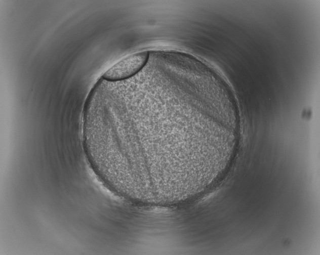 X0000112800839200909111233