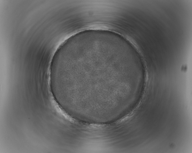 X0000112800840200909111233