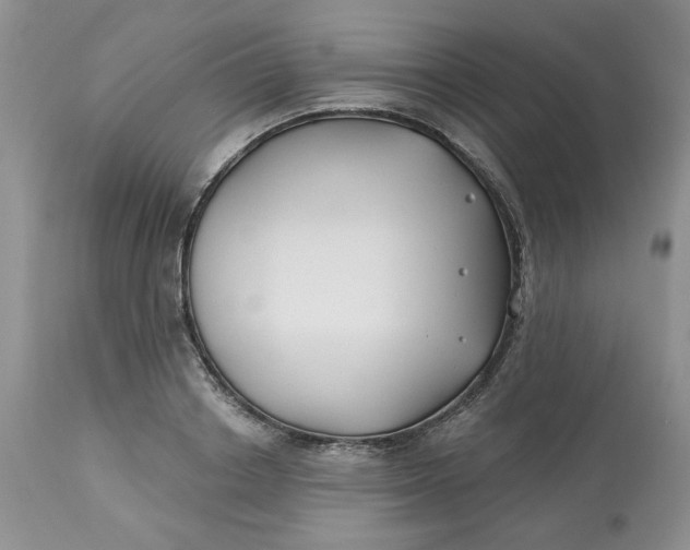 X0000112800842200909111234