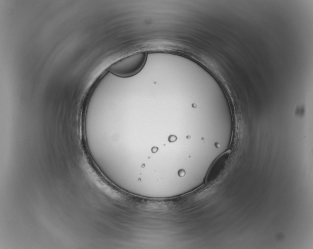 X0000112800843200909111234